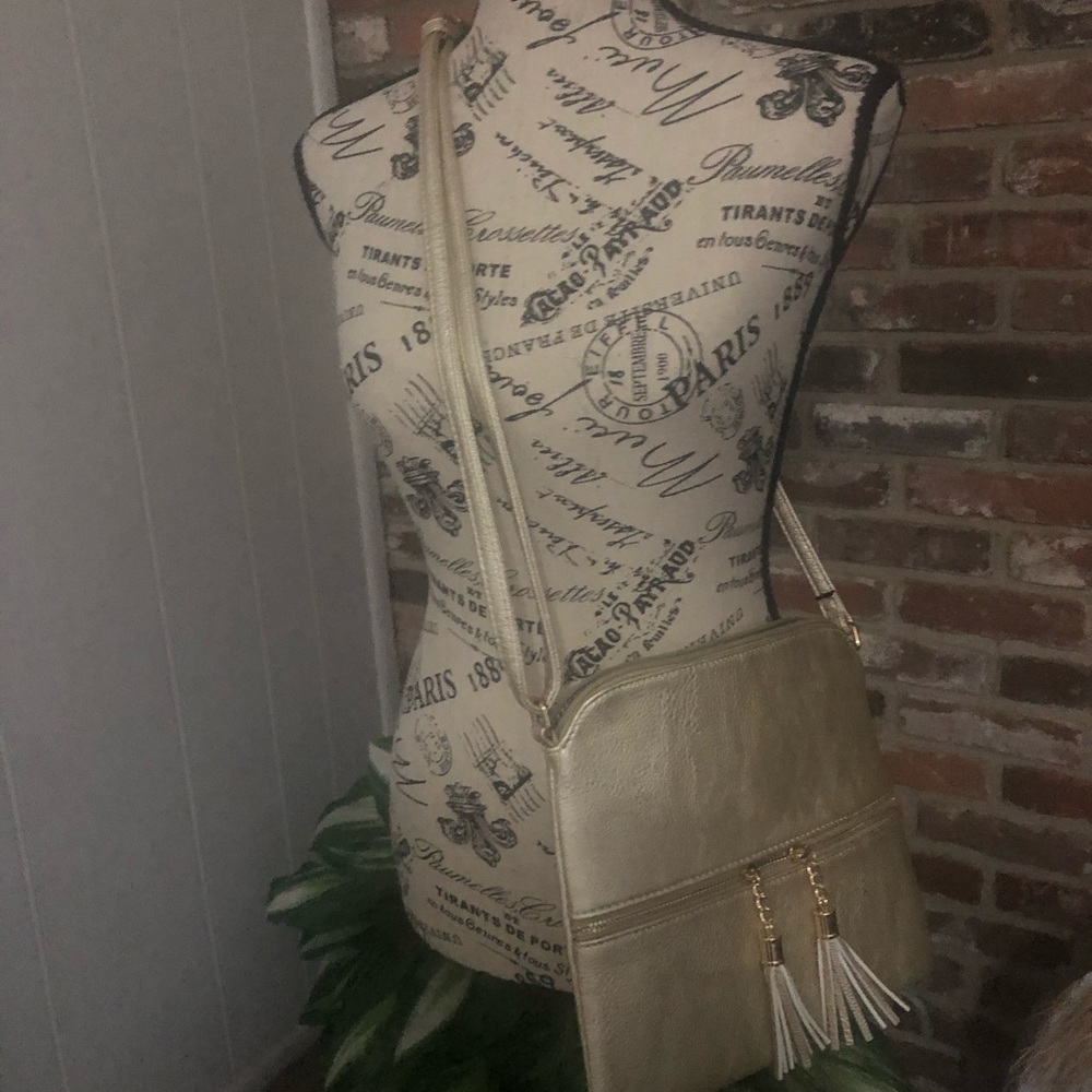 Champagne colored purse